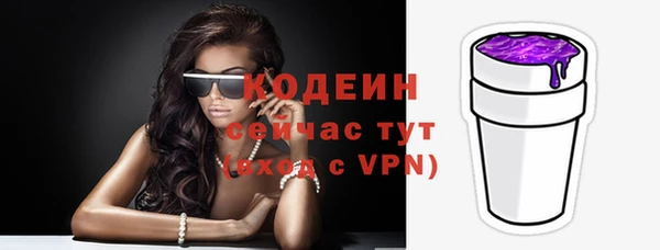 прущий лед Арсеньев
