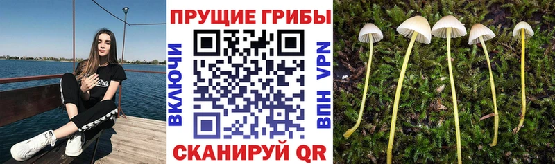 Галлюциногенные грибы ЛСД  Урус-Мартан 